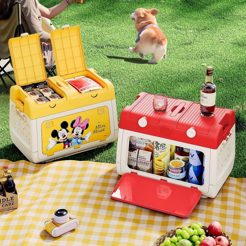 디즈니 정품 공인 야외 캠핑 보관함 미키와 미니 자동차 - Outdoor Camping Folding Storage Box 리뷰 및 가격
