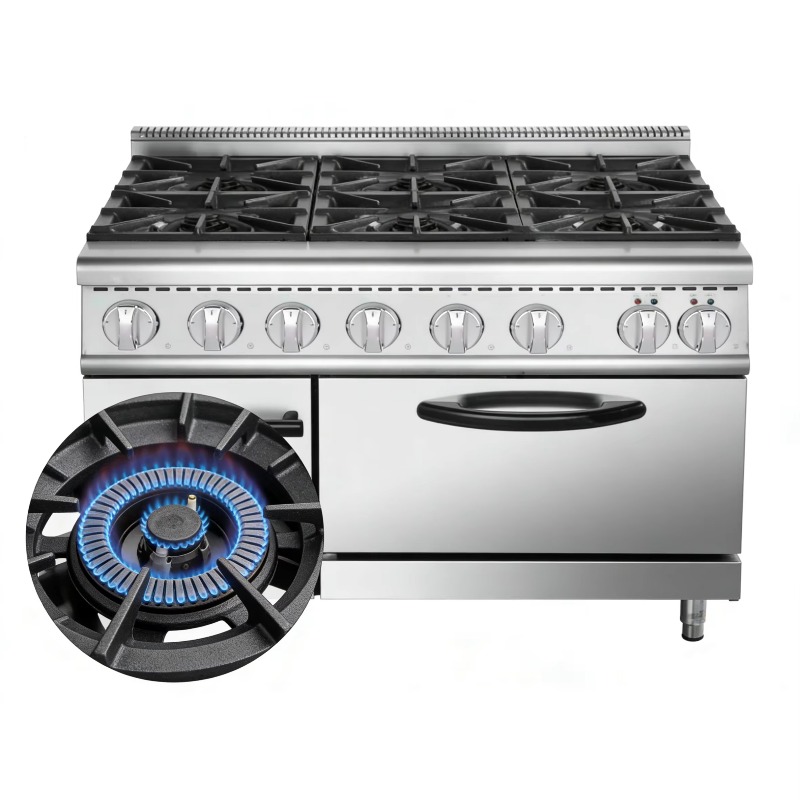 야외용 스테인리스 스틸 6구 휴대용 이중 연료 가스 및 - Outdoor Gas Stove 리뷰 및 가격